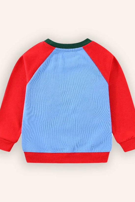 Dinosaur Embroidered Sweatshirt