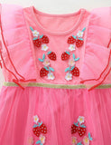 Strawberry Embroidered Tulle Dress