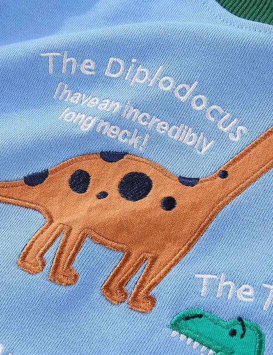 Dinosaur Embroidered Sweatshirt