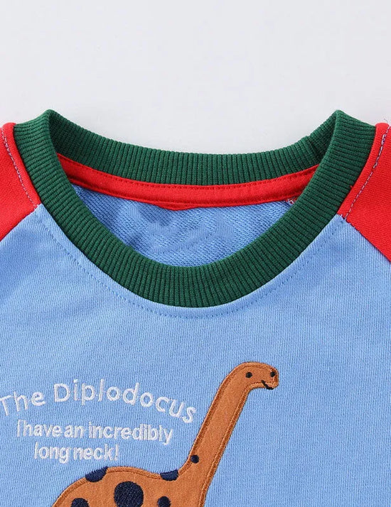 Dinosaur Embroidered Sweatshirt
