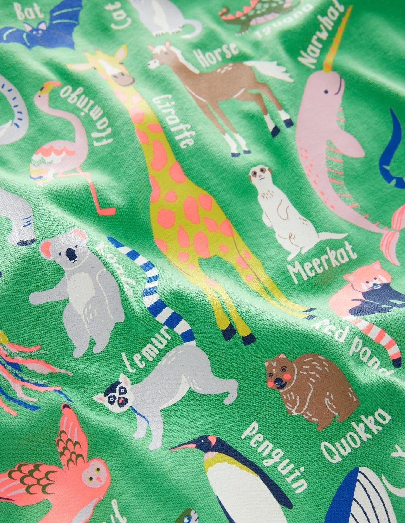 Animal Educational T-shirt - Mini Taylor