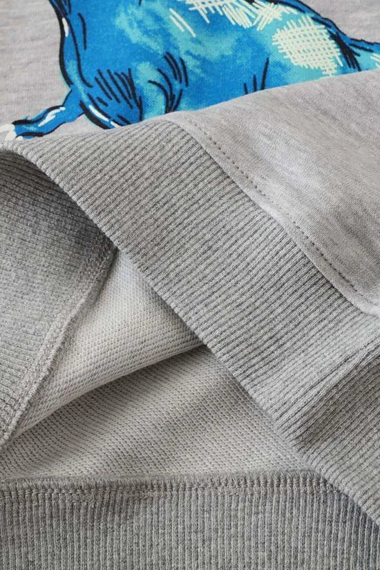 Glowing Dinosaur Printed Sweater - Mini Taylor